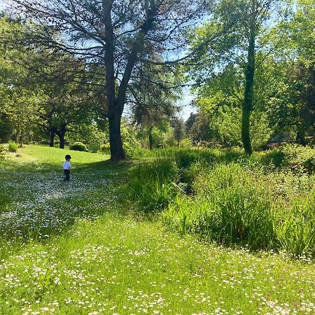 Les Restanques Vue Mer Roses 1070 Rez De Jardin グリモー エクステリア 写真