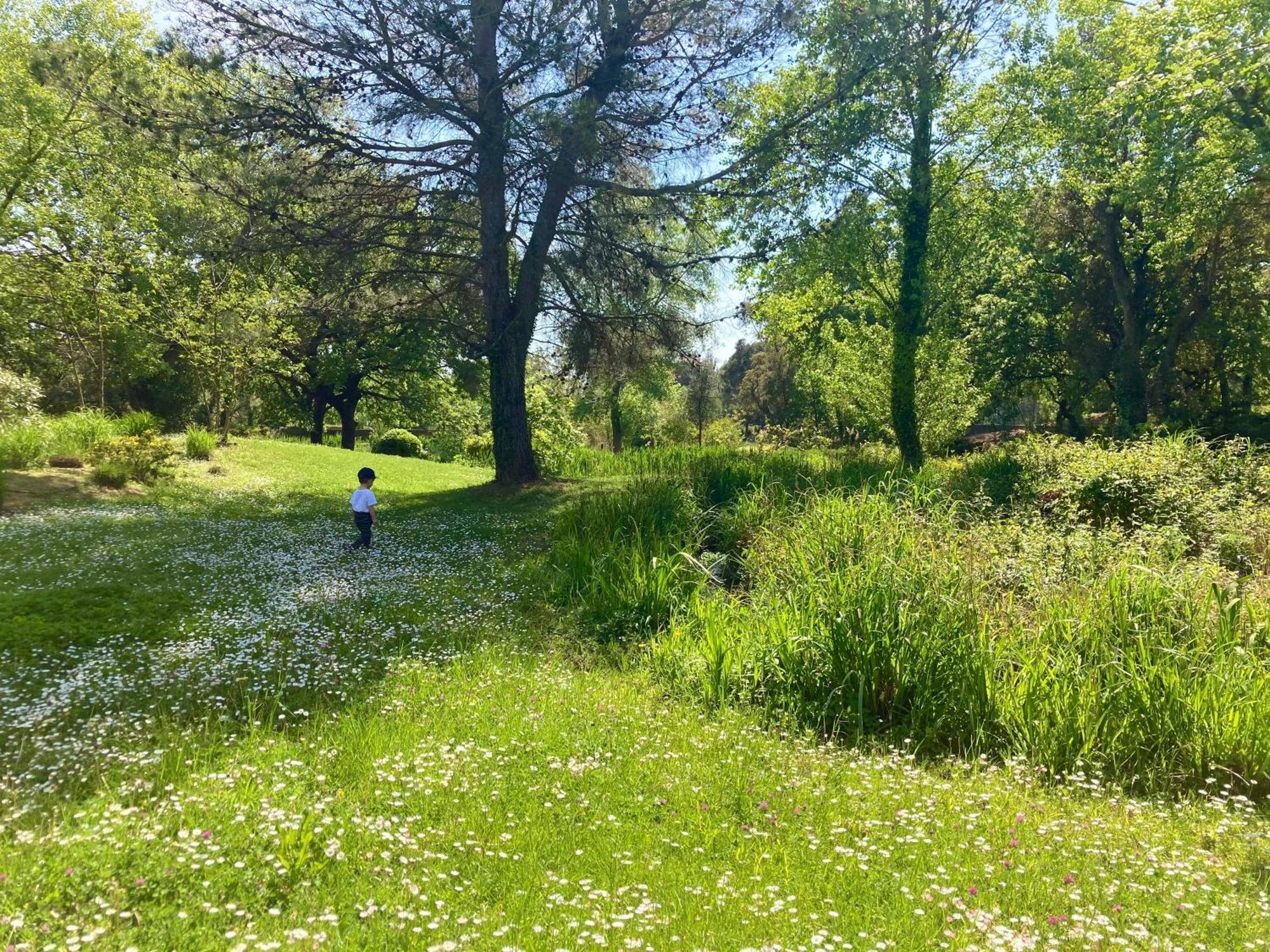 Les Restanques Vue Mer Roses 1070 Rez De Jardin グリモー エクステリア 写真